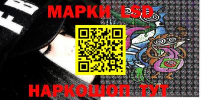 шишки Можга