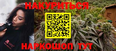 шишки Можга