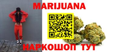 Альфа ПВП Моздок