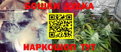 шишки Можга